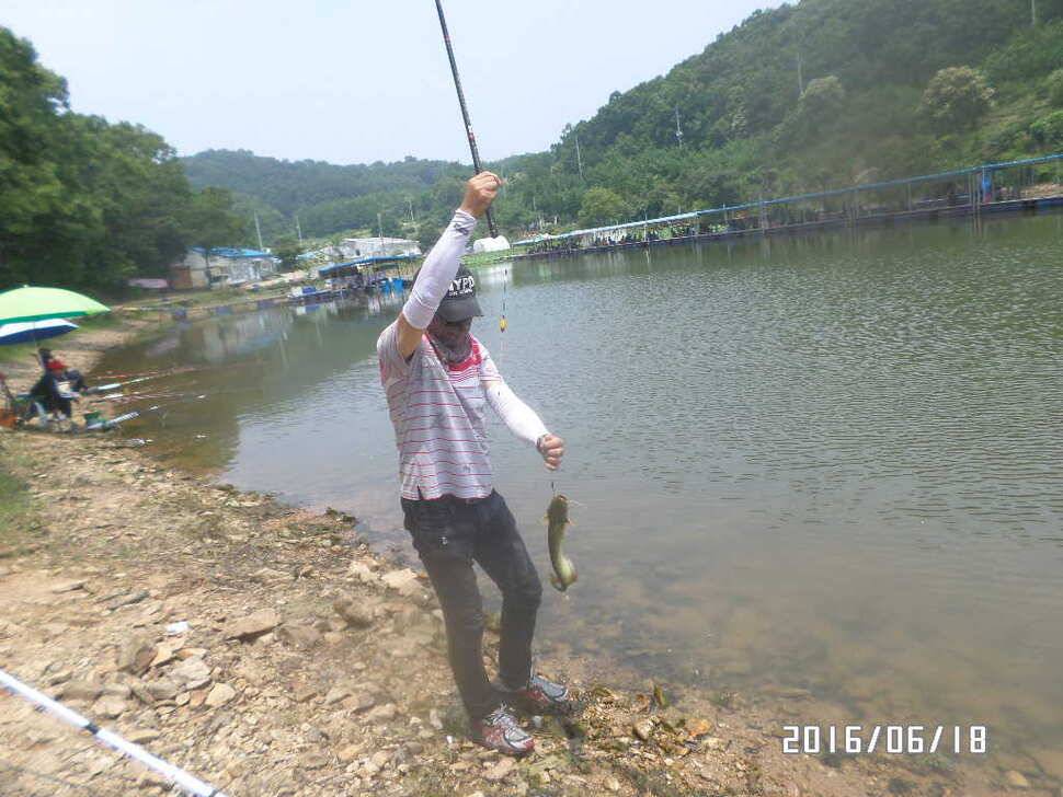 fish_pay_09534842.jpg