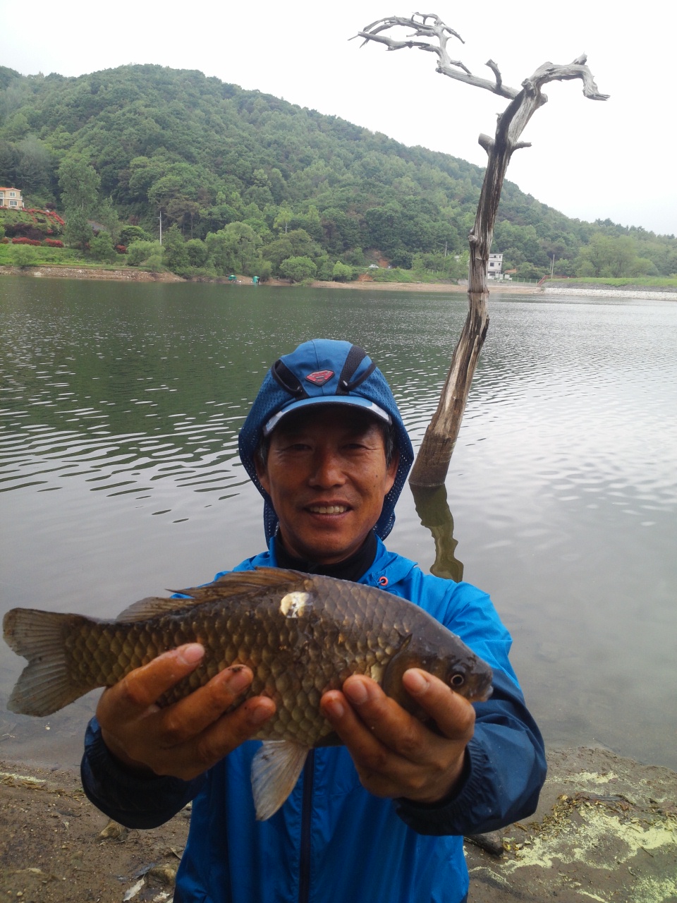 fish_pay09293793