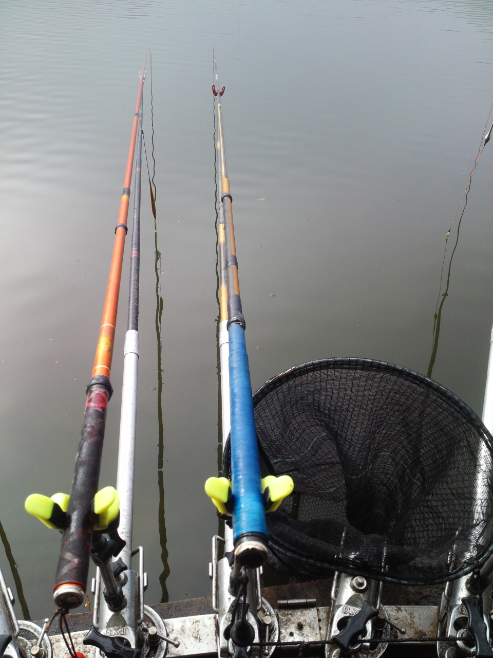 fish_pay09305863