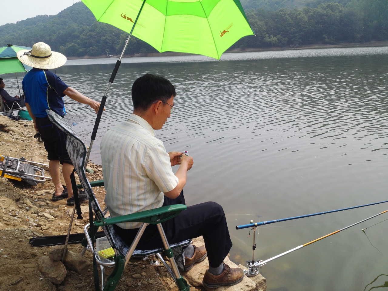 fish_pay11260175
