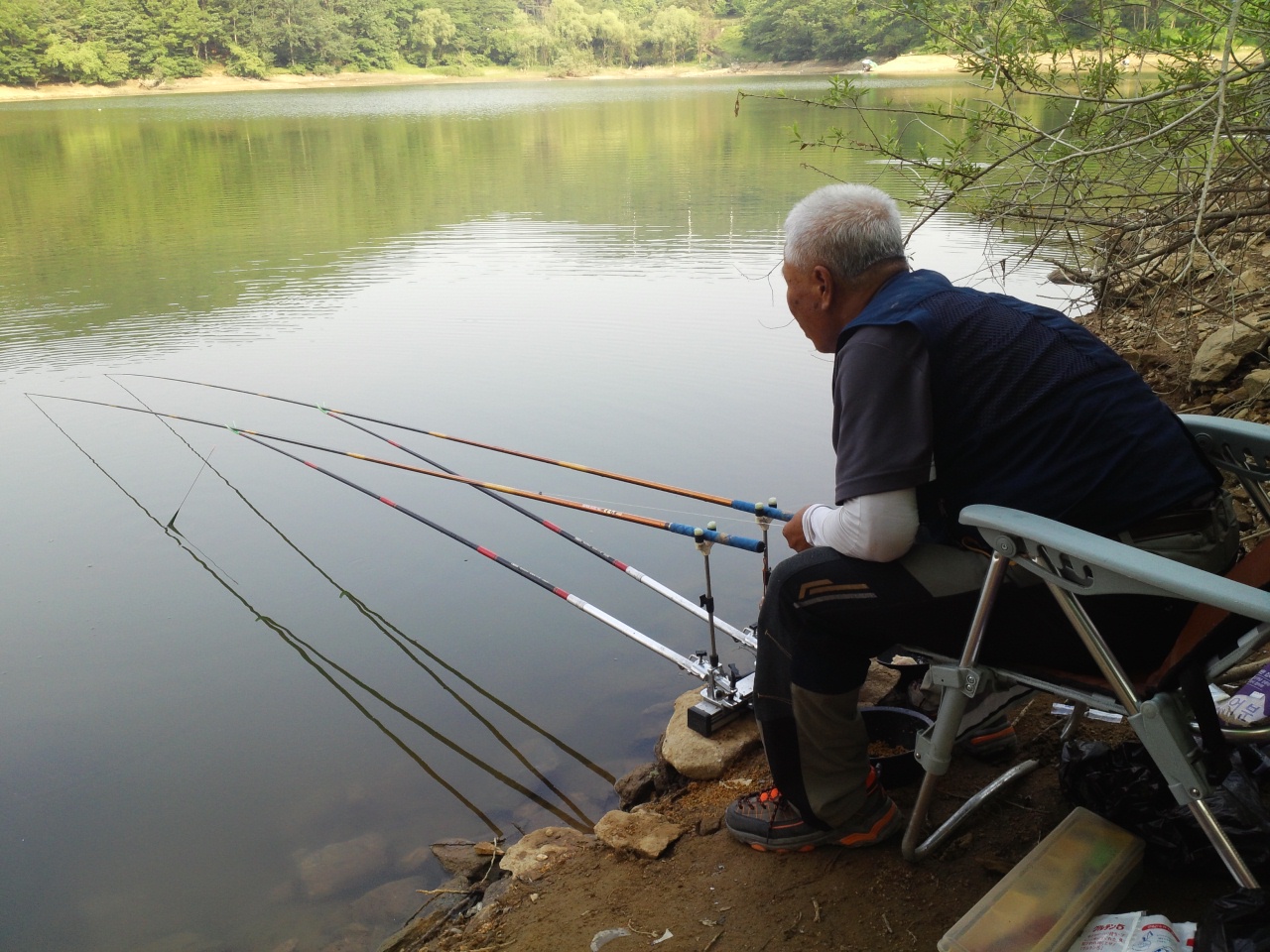 fish_pay11261915