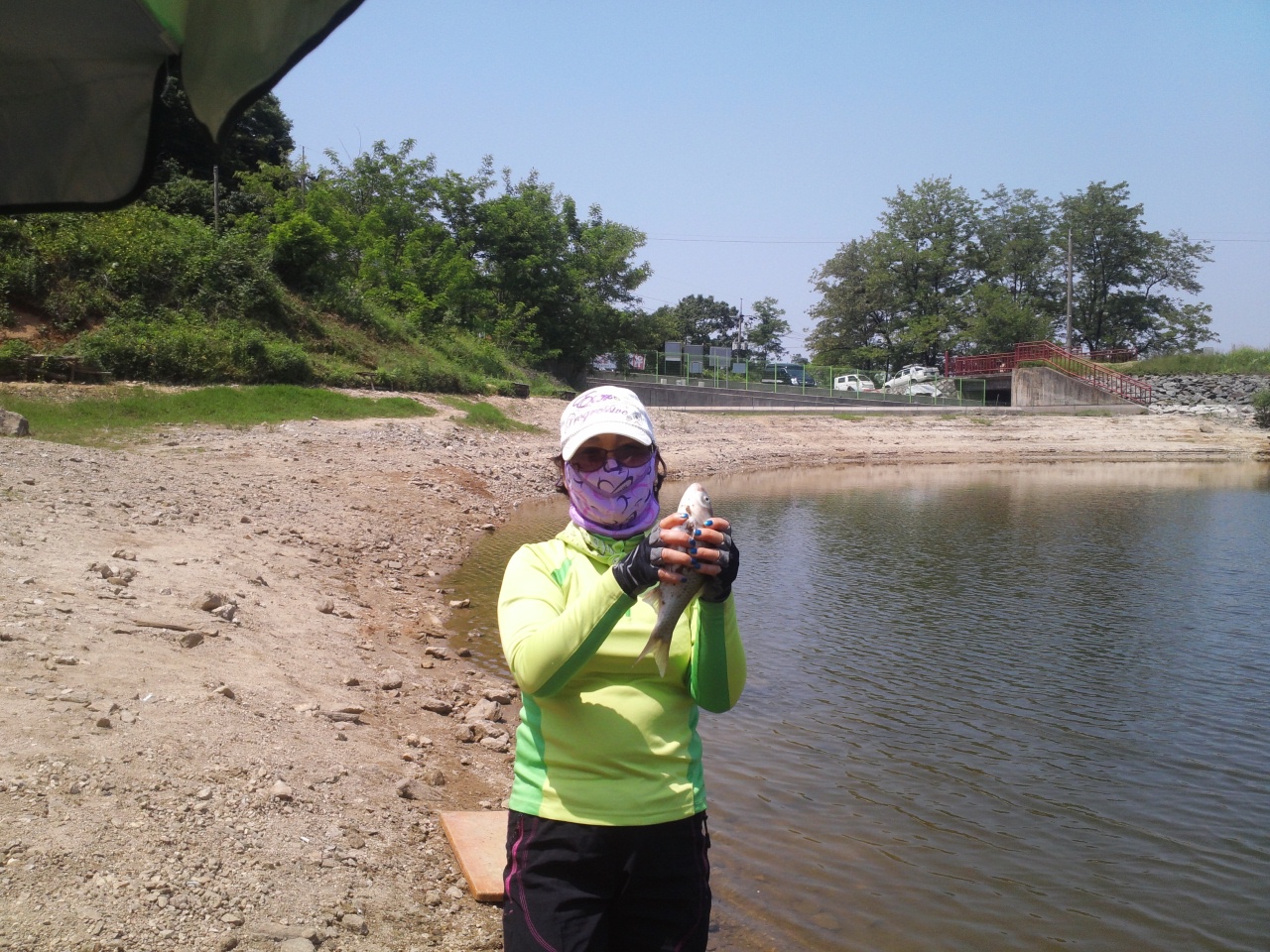 fish_pay11294854