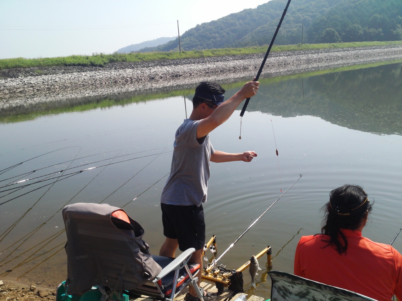 fish_pay11295777