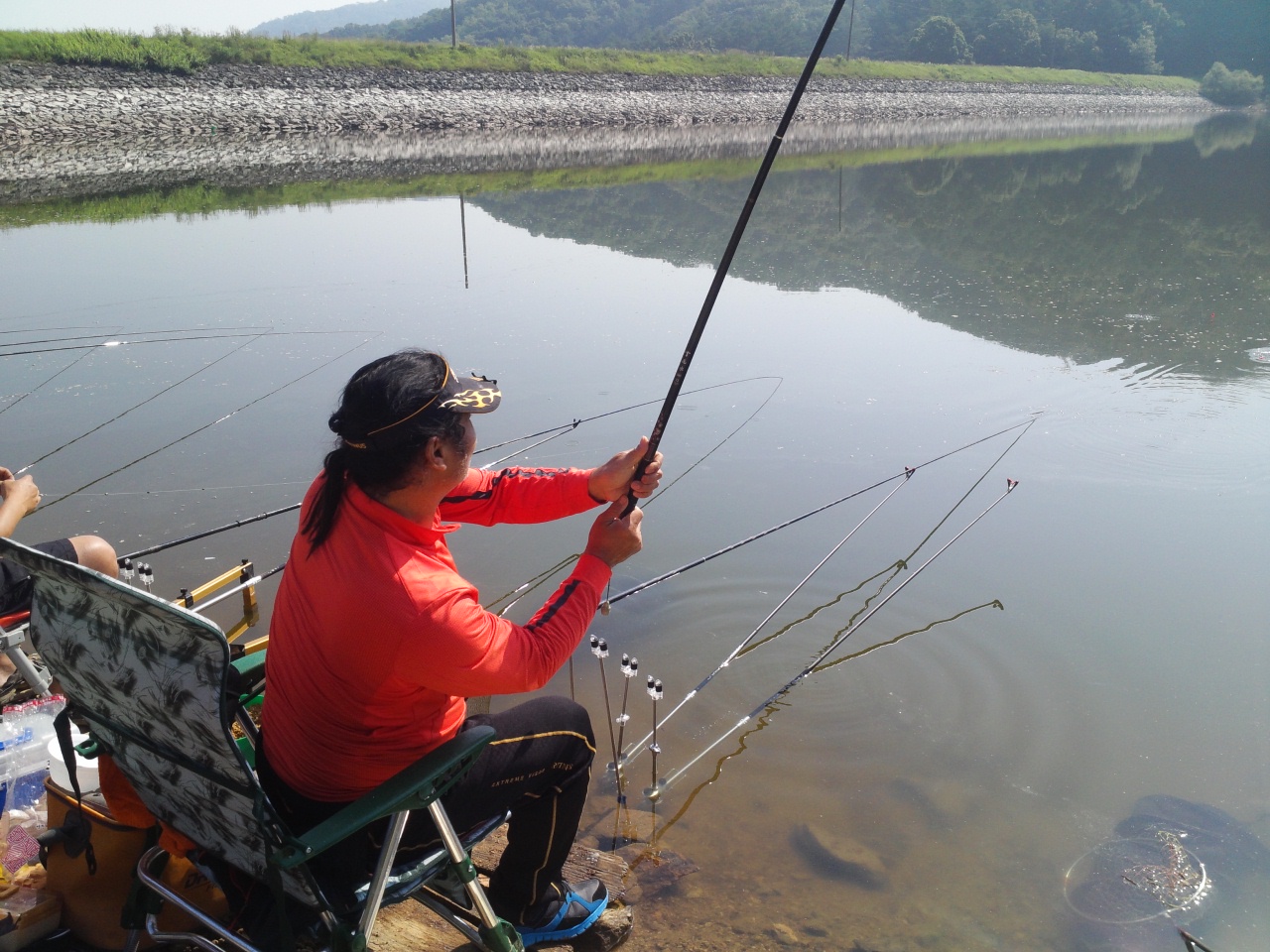 fish_pay11300988