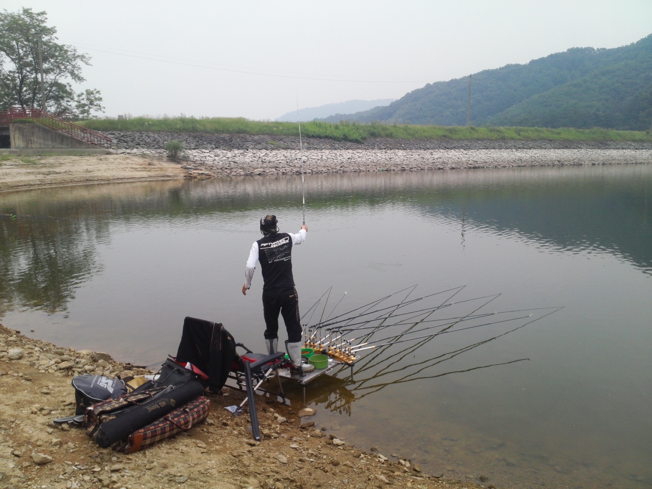 fish_pay11304383