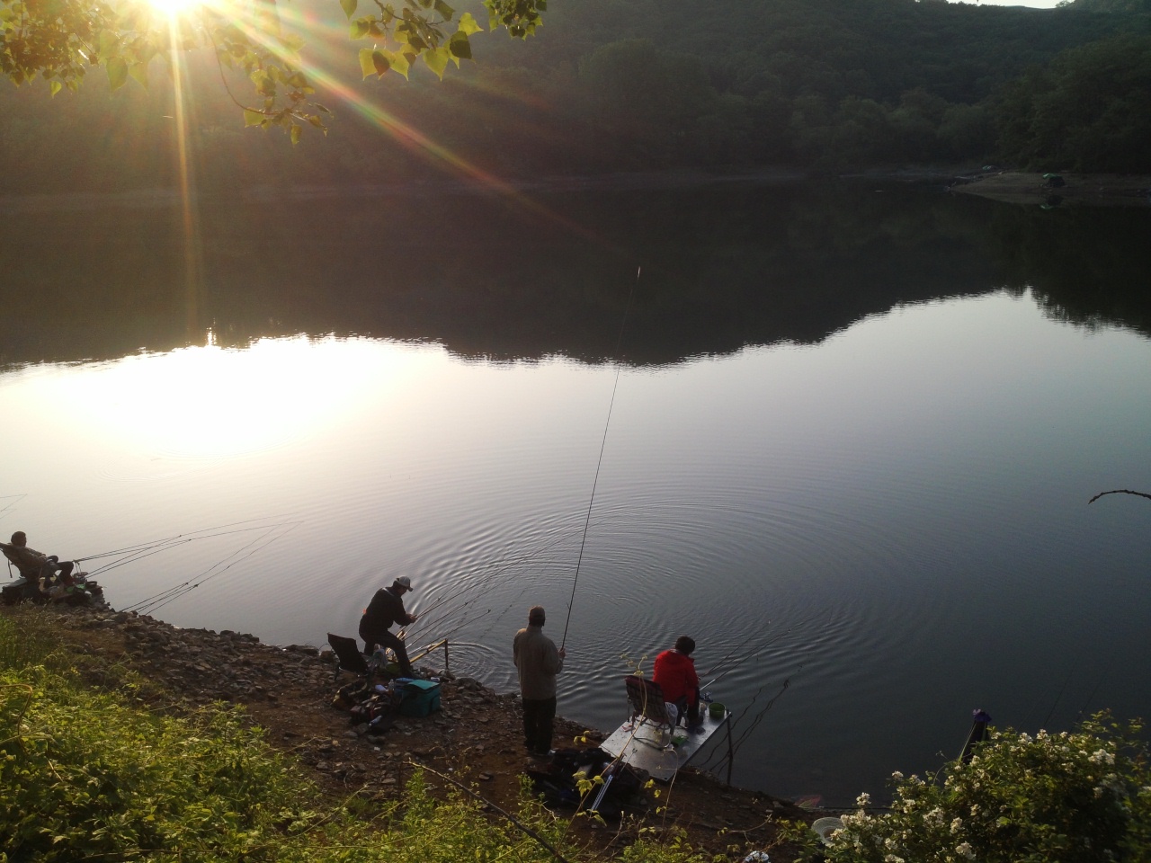 fish_pay11313740