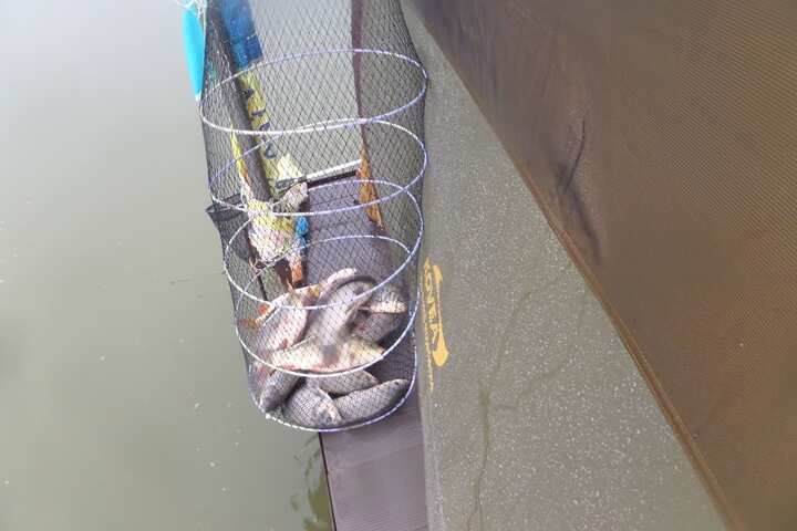 fish_pay_01001556.jpg