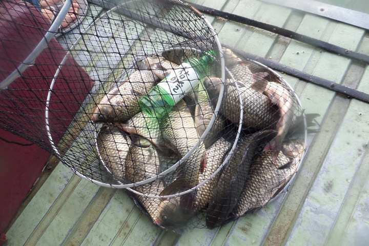 fish_pay_01005960.jpg