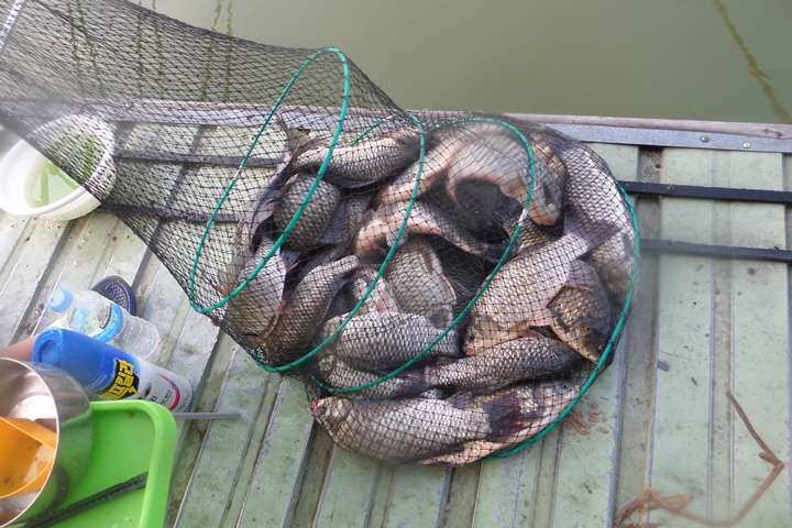 fish_pay_01010834.jpg