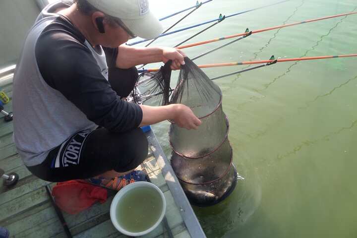 fish_pay_01011477.jpg