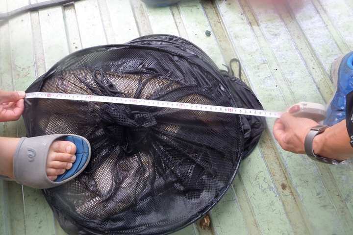 fish_pay_01012056.jpg