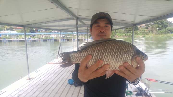 fish_pay_01030488.jpg