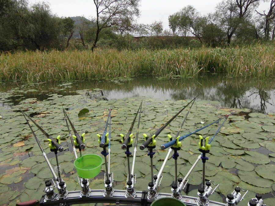 fish_pay_01053684.jpg