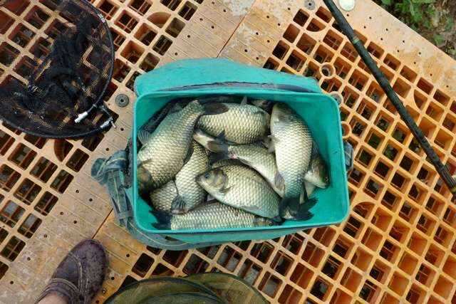 fish_pay_01063586.jpg