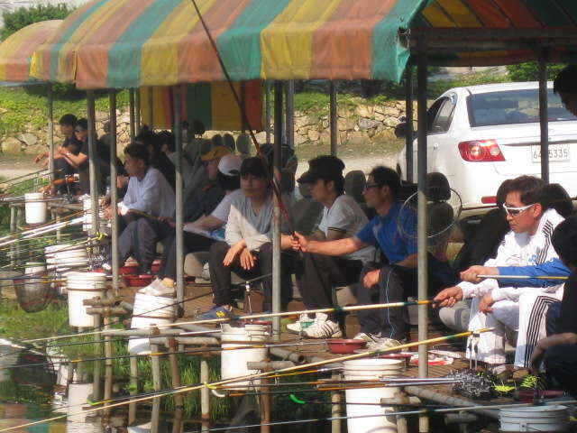 fish_pay_01152486.jpg