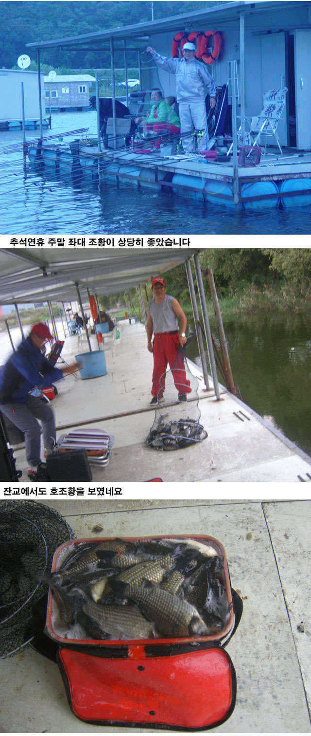fish_pay_01160767.jpg