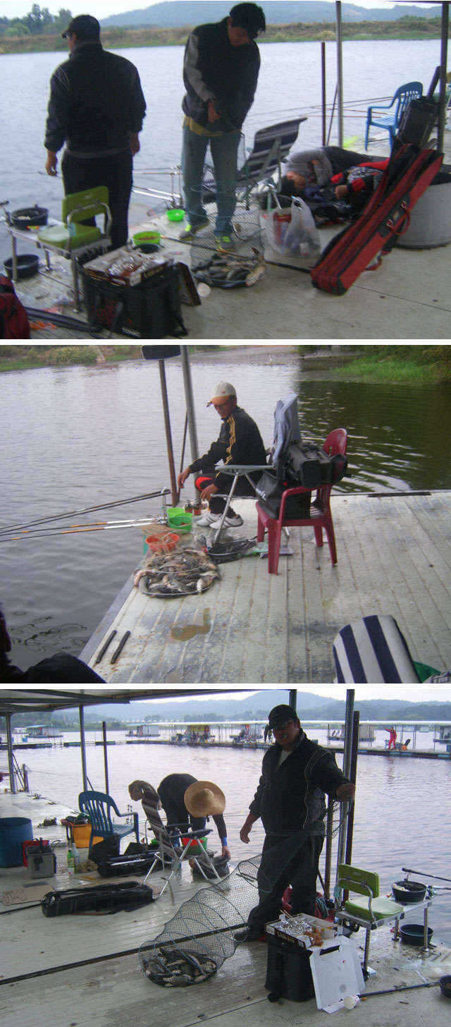 fish_pay_01161281.jpg