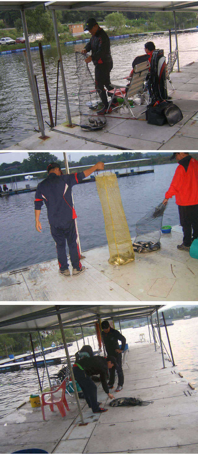 fish_pay_01161668.jpg