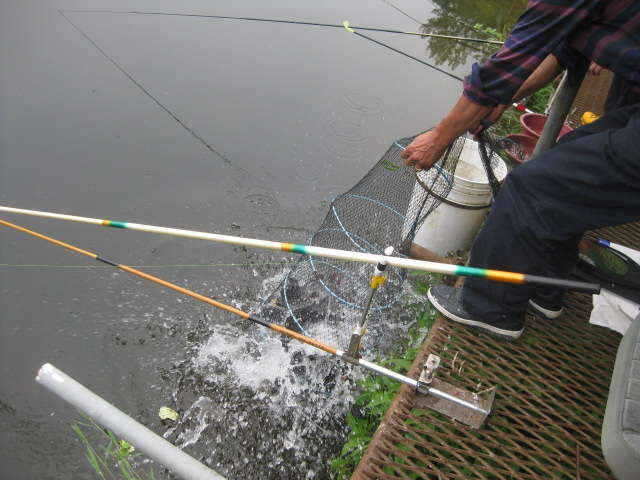 fish_pay_01181836.jpg