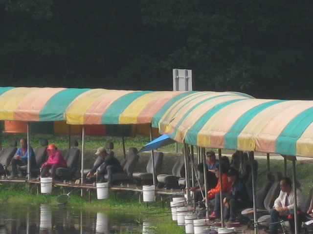 fish_pay_01192545.jpg