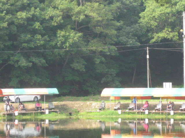 fish_pay_01193894.jpg