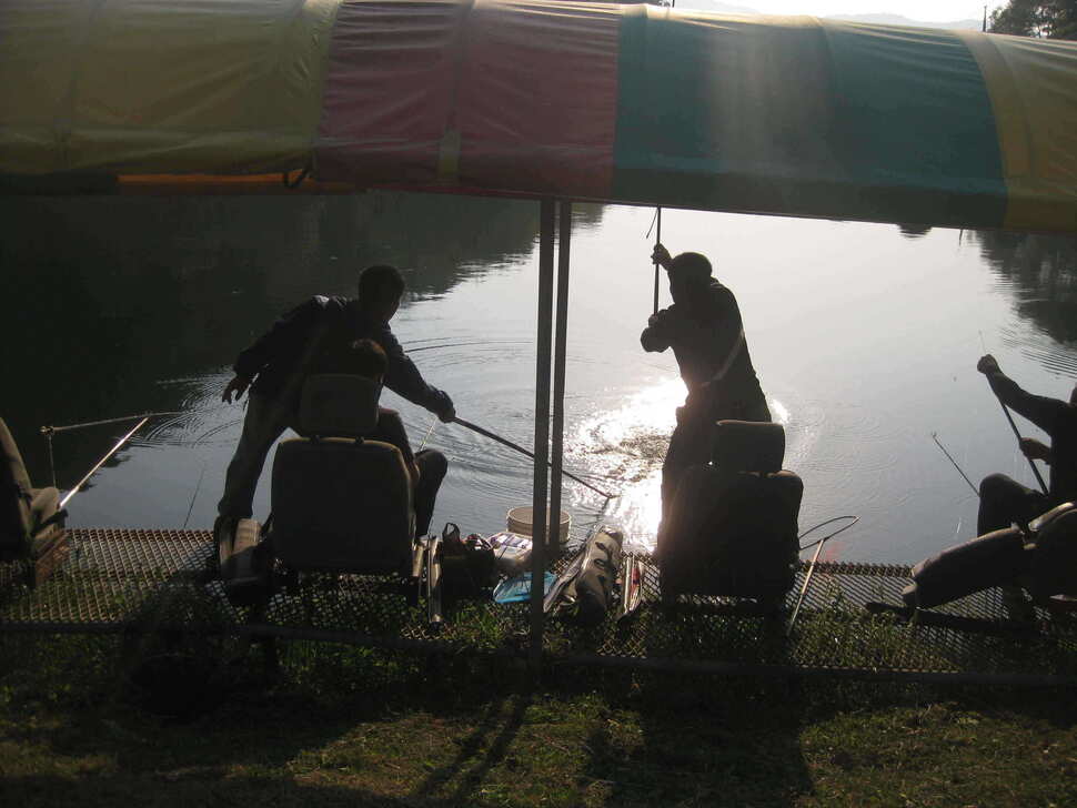 fish_pay_01204767.jpg