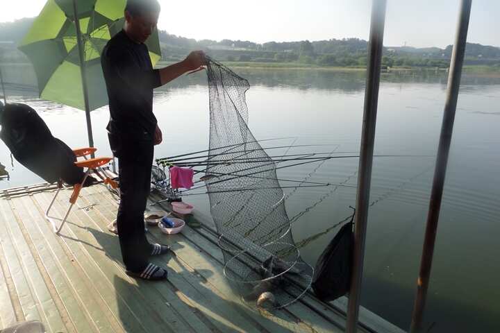 fish_pay_01215052.jpg