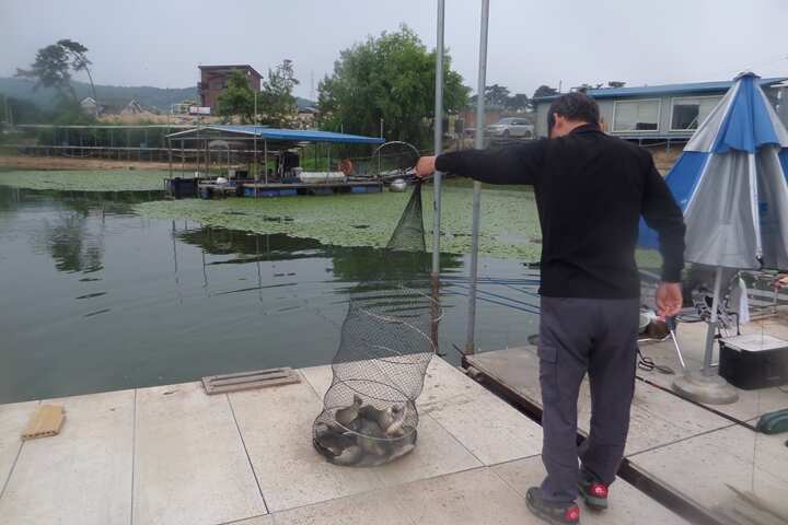 fish_pay_01220686.jpg