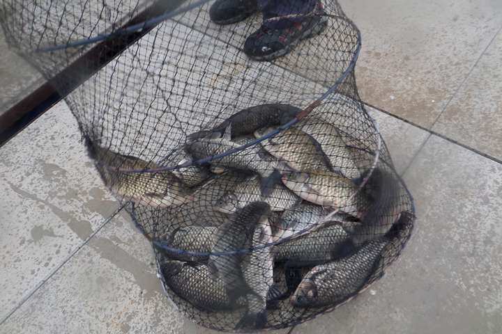 fish_pay_01221159.jpg