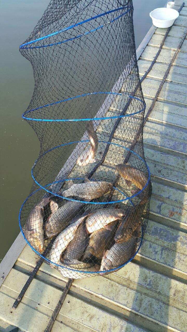 fish_pay_01222612.jpg