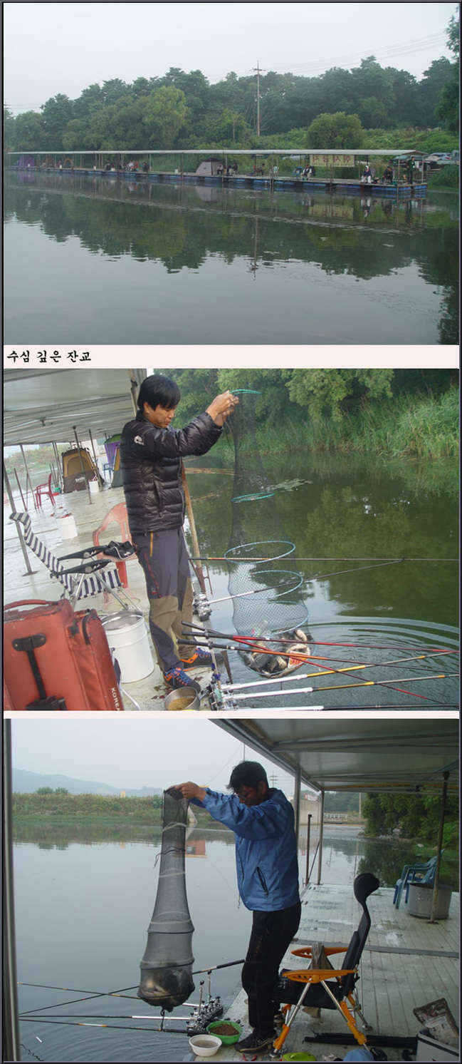 fish_pay_02120063.jpg