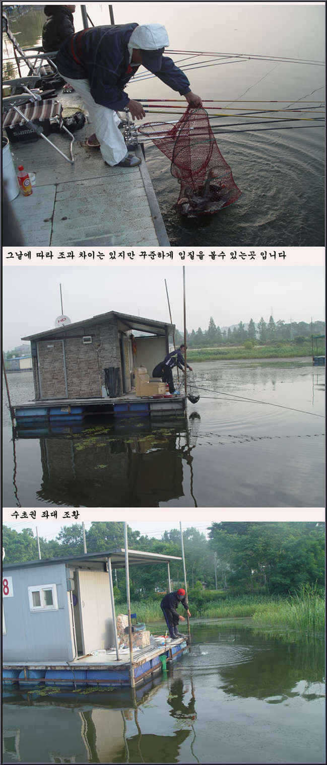 fish_pay_02121558.jpg