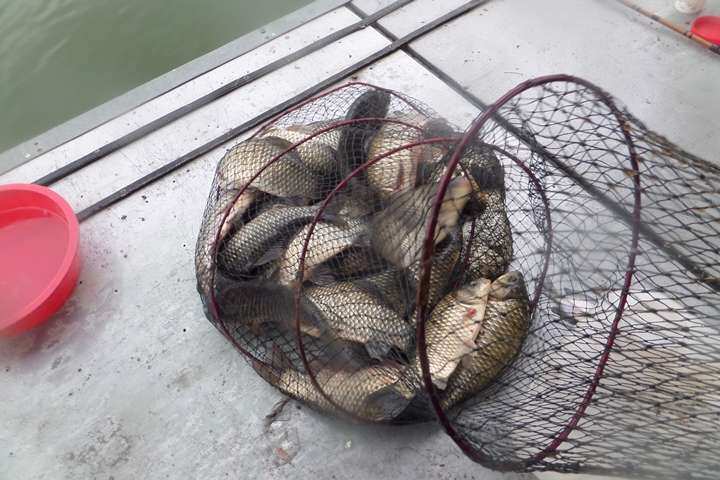fish_pay_02192786.jpg