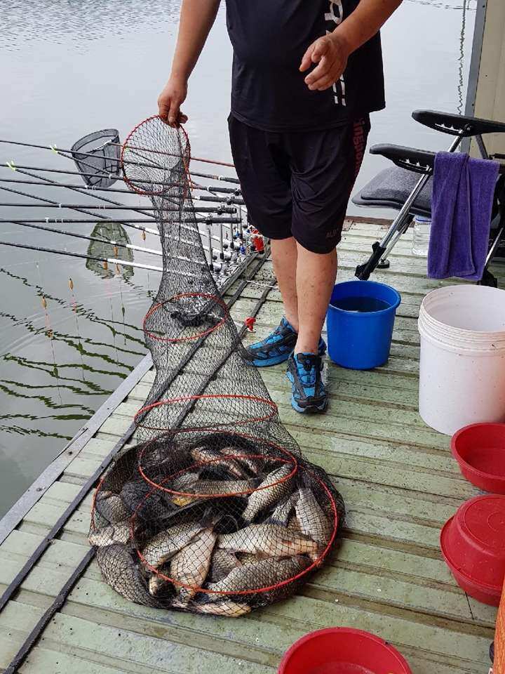 fish_pay_02193257.jpg