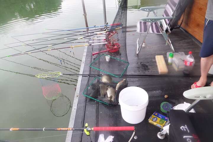 fish_pay_02195030.jpg
