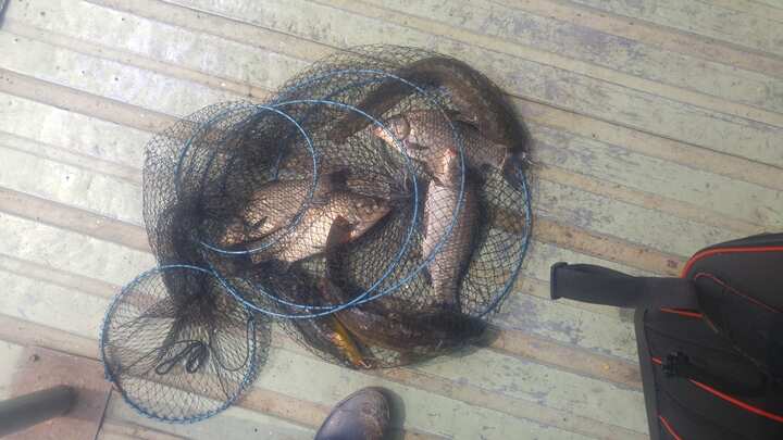 fish_pay_02211793.jpg