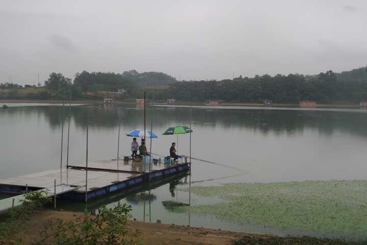 fish_pay_02214964.jpg