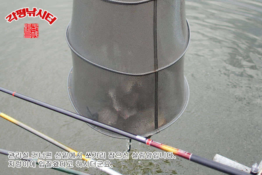 fish_pay_03195322.jpg
