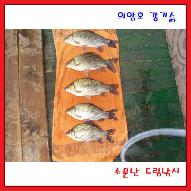 fish_pay_03213721.jpg