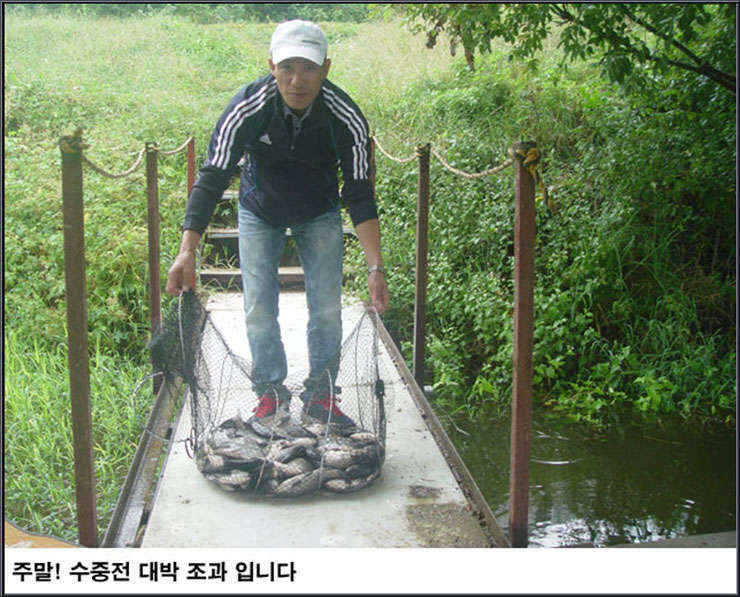 fish_pay_05070711.jpg