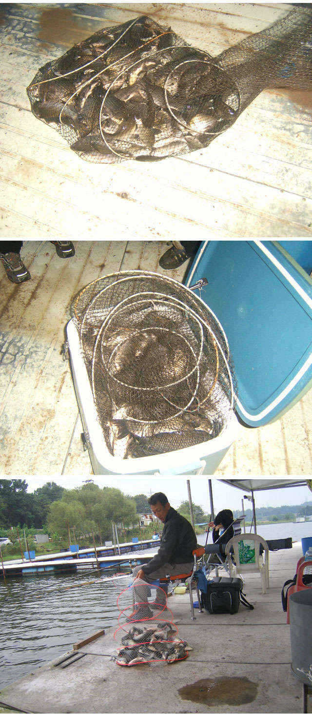 fish_pay_05072469.jpg