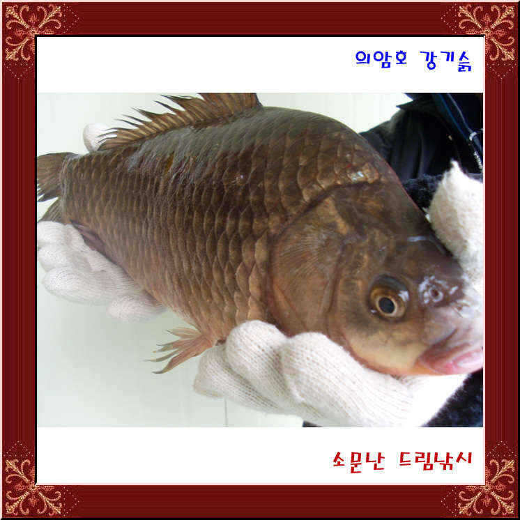 fish_pay_0518276.jpg
