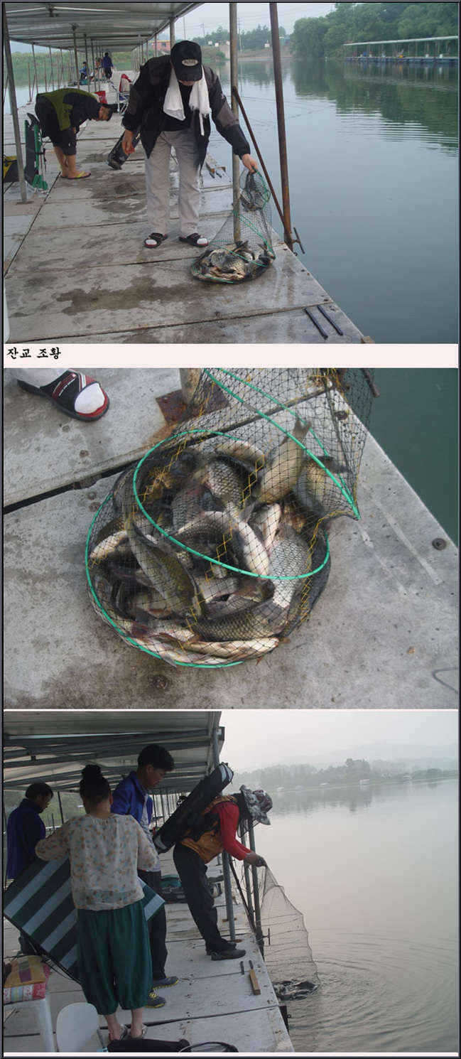 fish_pay_05424795.jpg