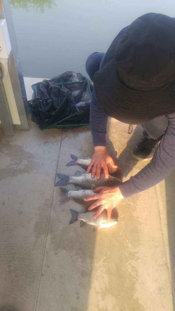 fish_pay_05430077.jpg