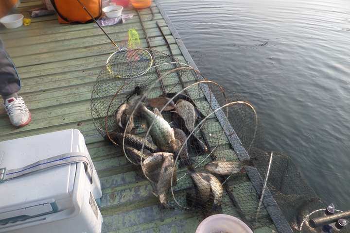 fish_pay_05434910.jpg