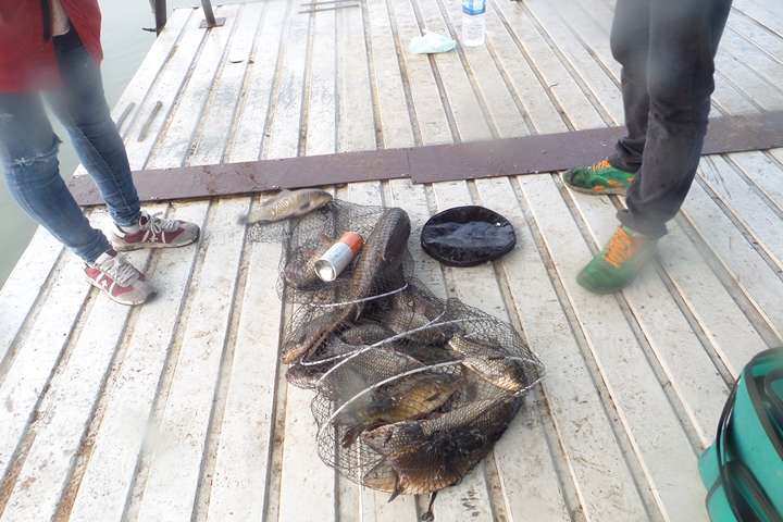 fish_pay_0544319.jpg