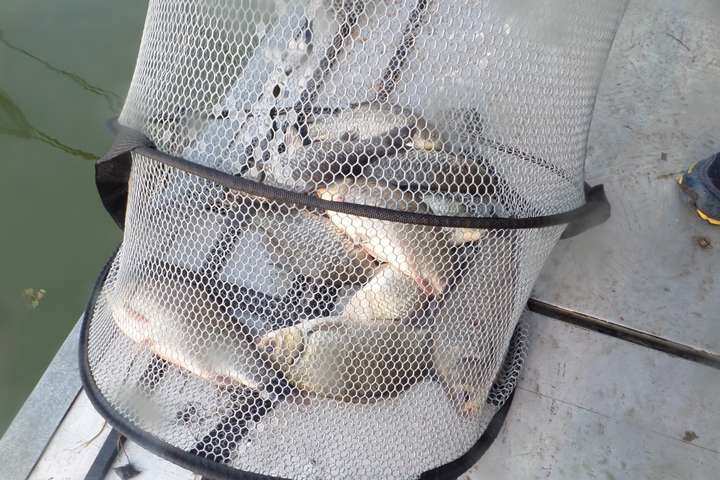 fish_pay_05443563.jpg