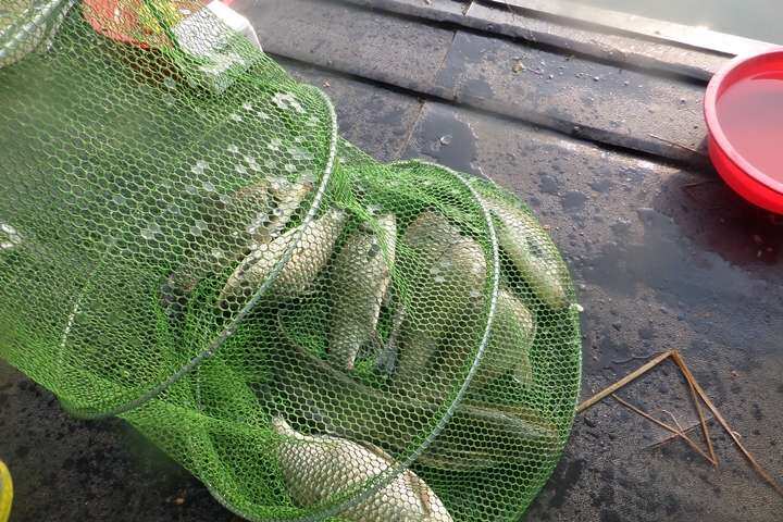fish_pay_05445517.jpg