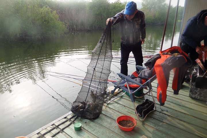 fish_pay_0545003.jpg