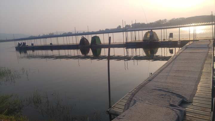 fish_pay_05453013.jpg